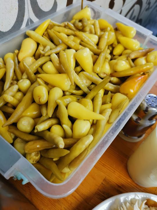 Fotoğraf 14