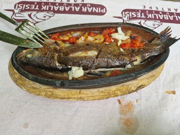 Fotoğraf 42