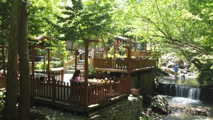 Fotoğraf 34