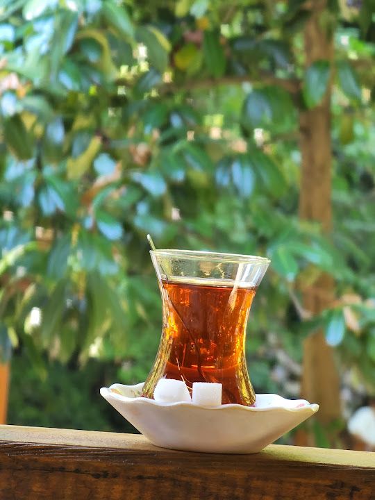 Fotoğraf 43