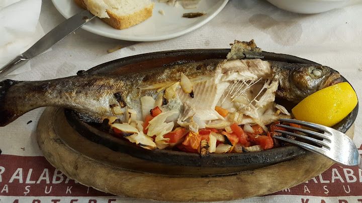 Fotoğraf 72