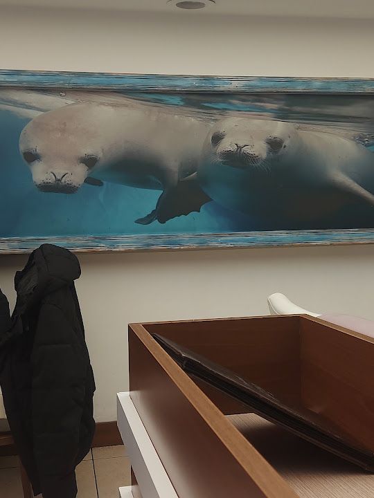 Yorum fotoğrafı 4
