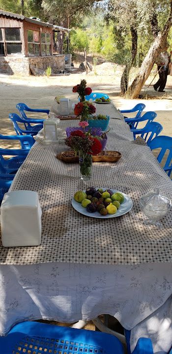 Fotoğraf 17