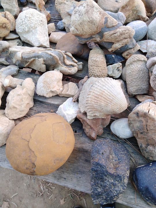 Fotoğraf 19