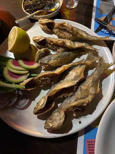 Yorum fotoğrafı 2