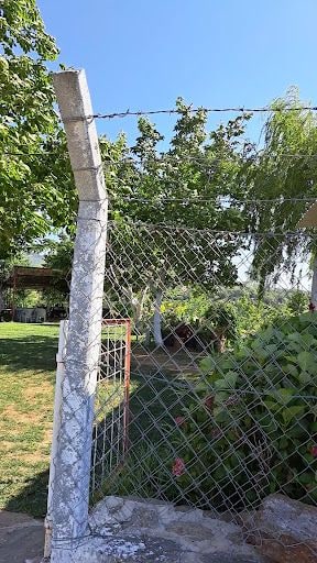 Fotoğraf 17