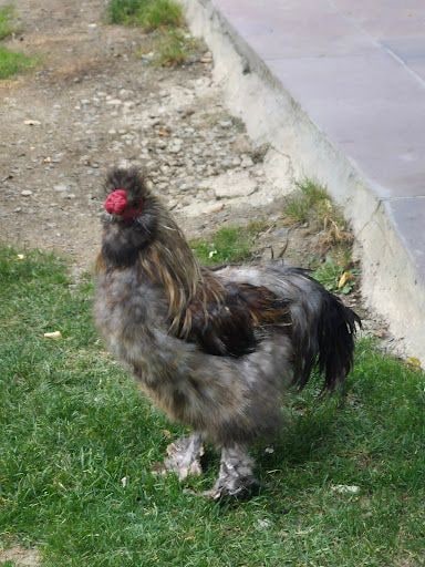Yorum fotoğrafı 5