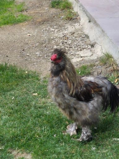 Yorum fotoğrafı 6
