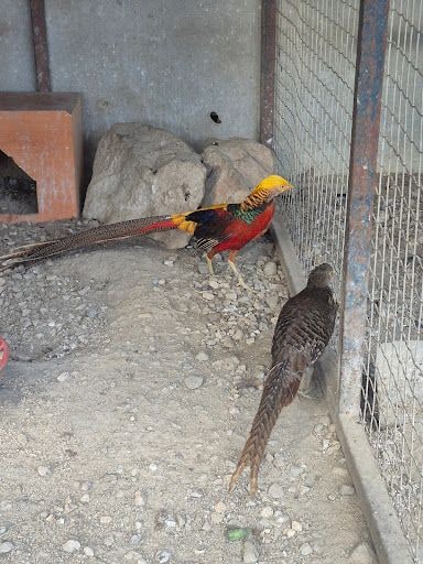 Yorum fotoğrafı 7