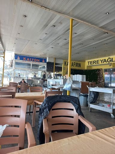 Fotoğraf 31