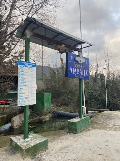 Fotoğraf 23