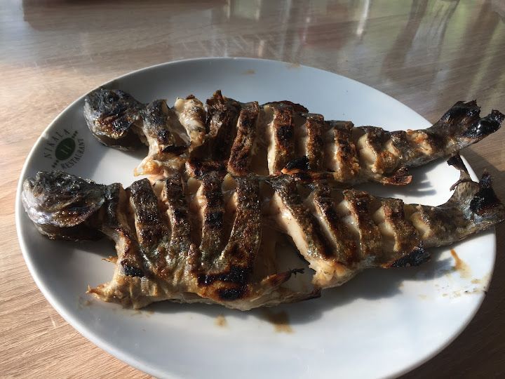 Fotoğraf 30
