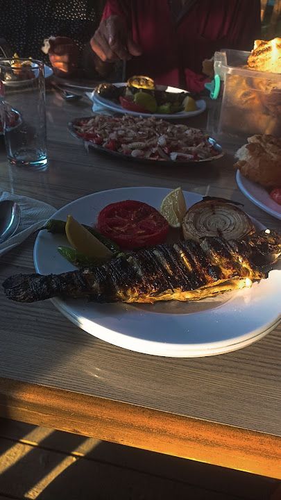 Fotoğraf 26