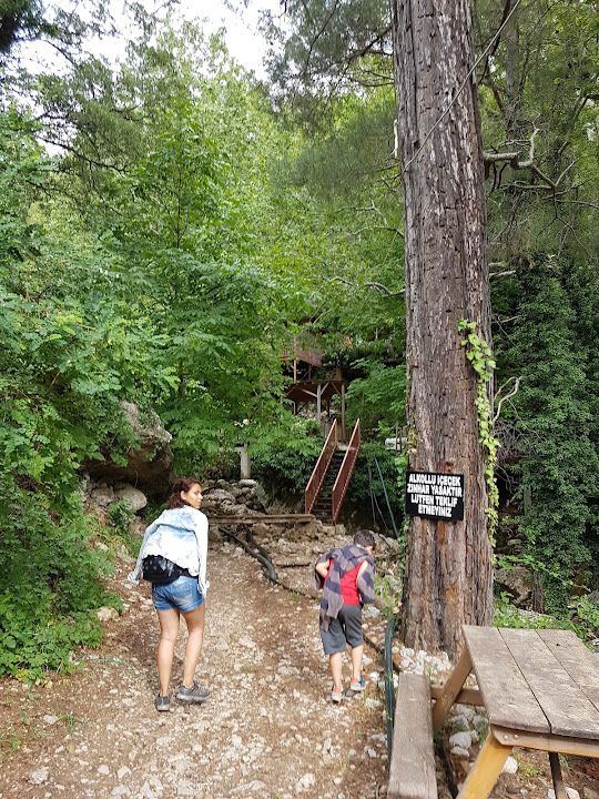 Yorum fotoğrafı 3