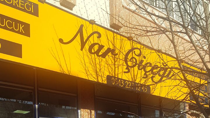 Nar Cicegi