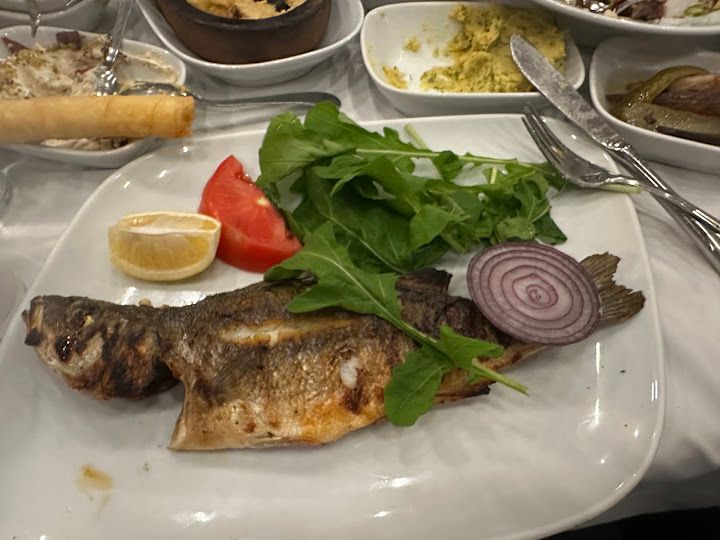 Fotoğraf 24