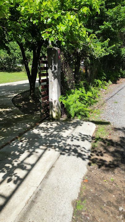 Fotoğraf 29