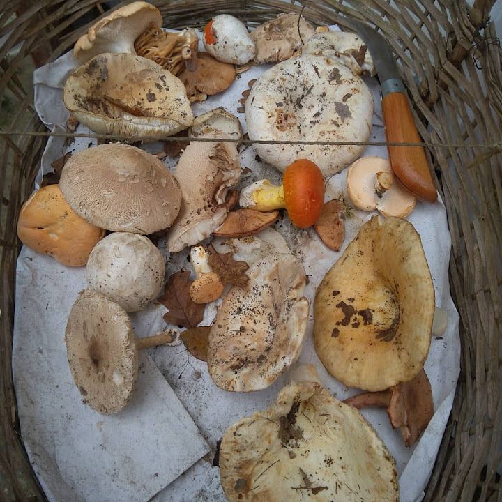 Fotoğraf 36