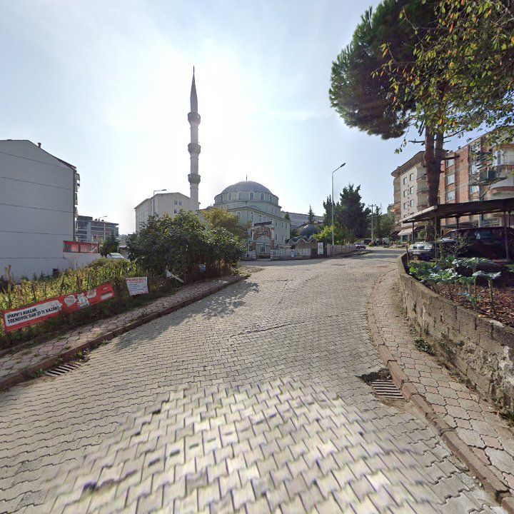 Fotoğraf 3