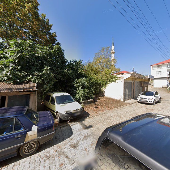 Fotoğraf 3
