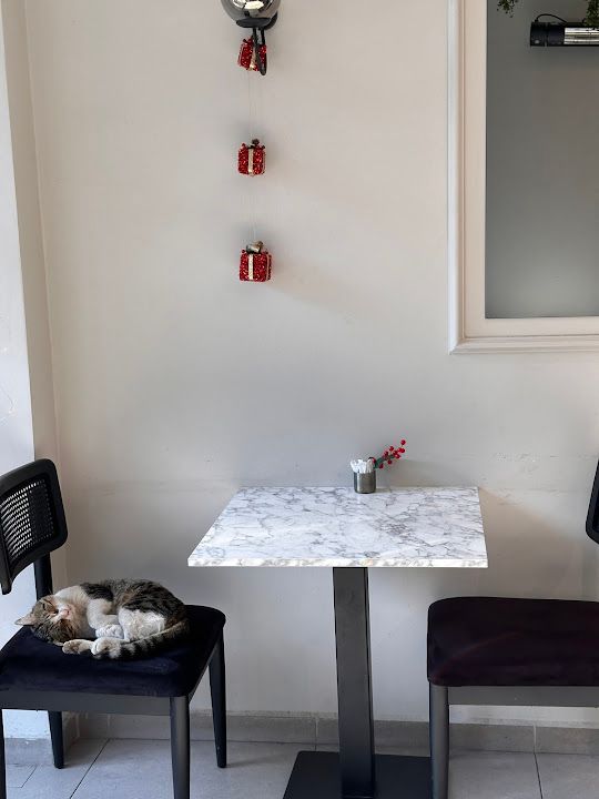 Yorum fotoğrafı 4