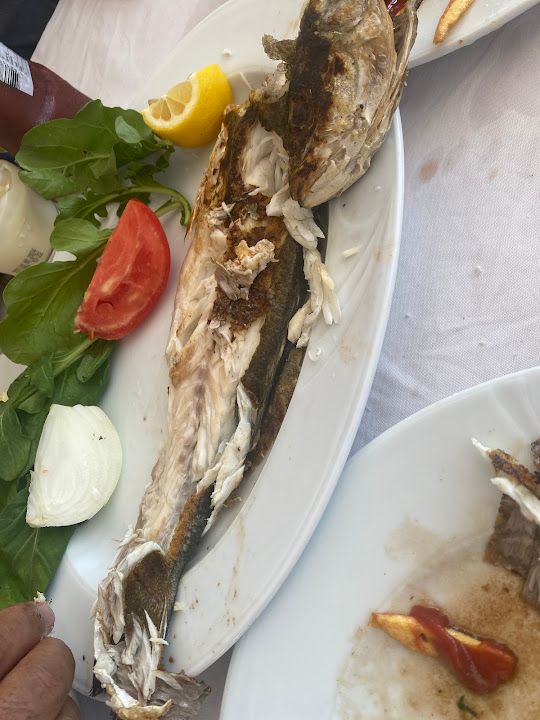 Fotoğraf 22