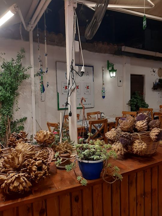 Fotoğraf 29