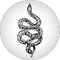 Pitonlar