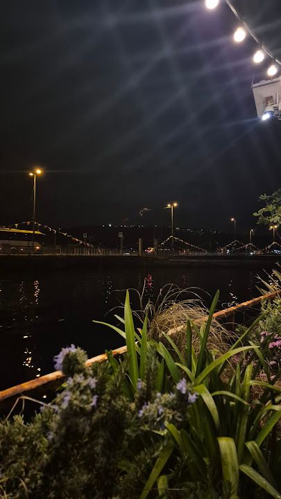 Fotoğraf 31