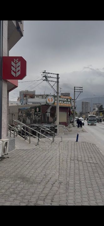 Fotoğraf 13