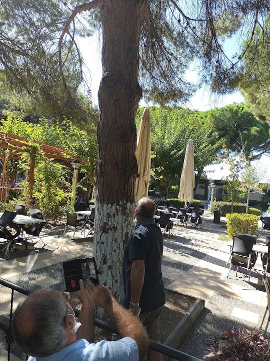 Fotoğraf 13