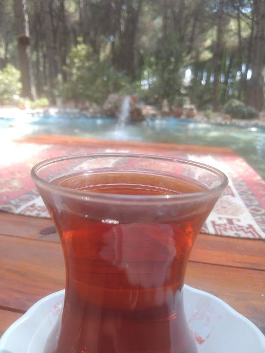 Fotoğraf 14