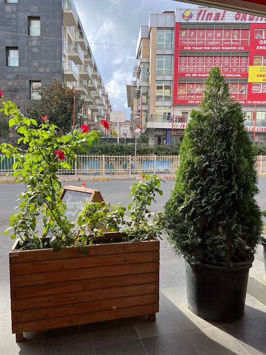 Yorum fotoğrafı 3