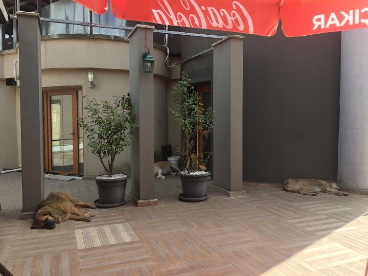Yorum fotoğrafı 4