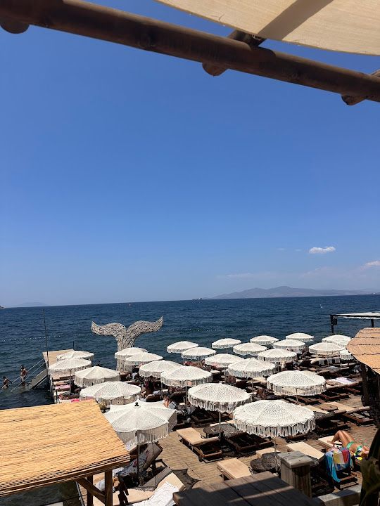 Fotoğraf 51