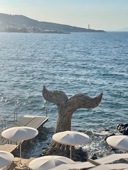 Fotoğraf 55