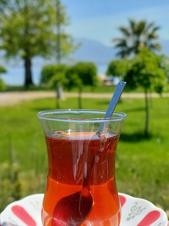 Fotoğraf 22
