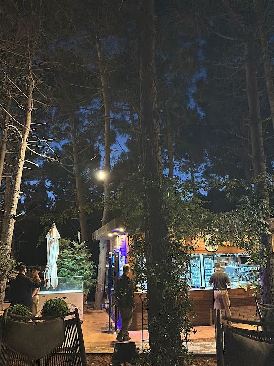 Fotoğraf 34