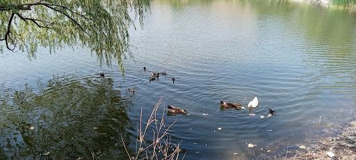 Yorum fotoğrafı 7