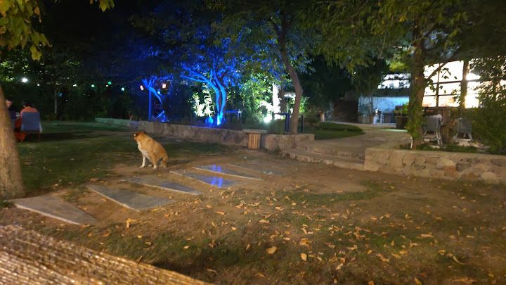 Yorum fotoğrafı 1