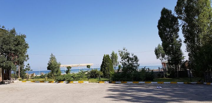 Fotoğraf 43