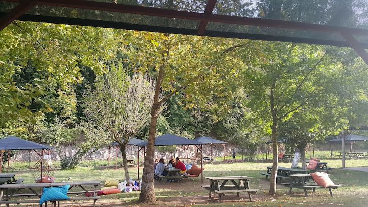 Fotoğraf 37