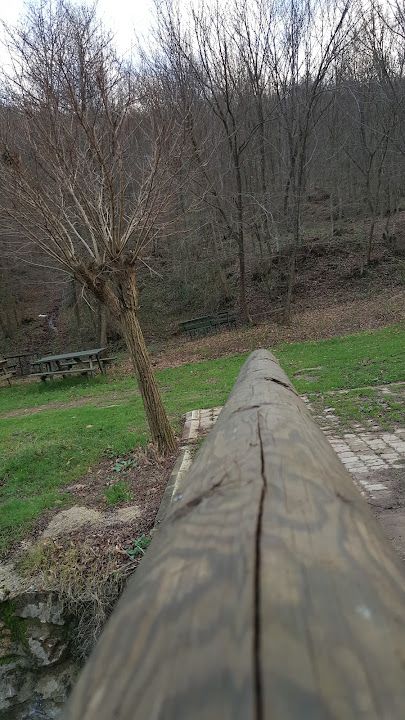 Fotoğraf 57