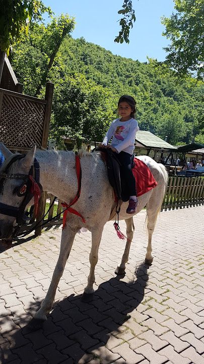 Fotoğraf 30