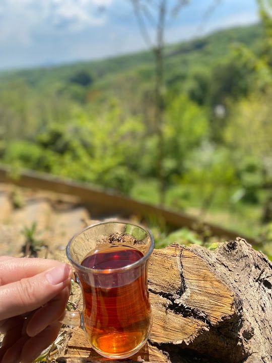 Fotoğraf 29
