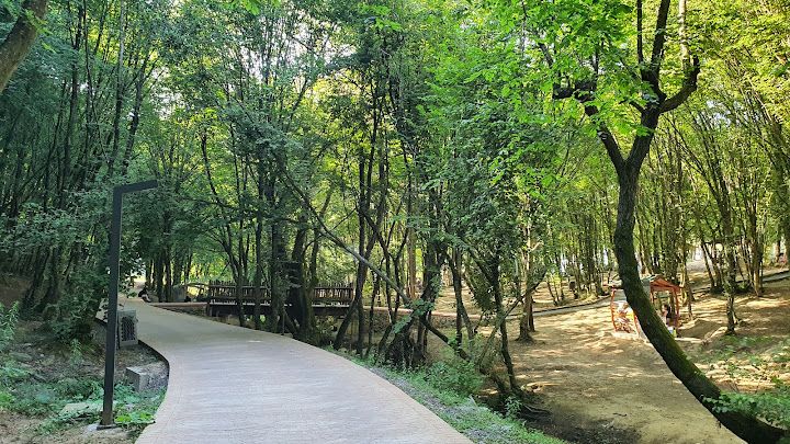 Fotoğraf 17