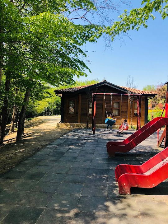 Fotoğraf 13