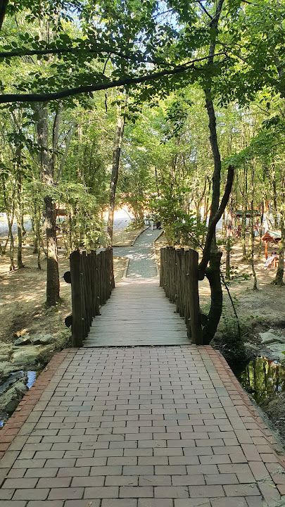 Fotoğraf 18