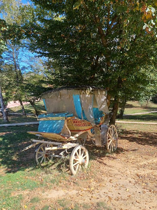 Fotoğraf 28