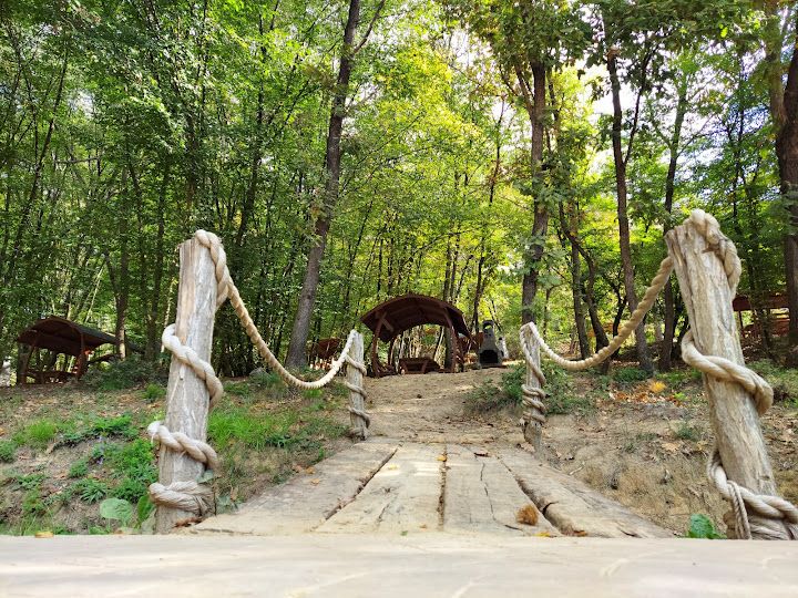 Fotoğraf 19